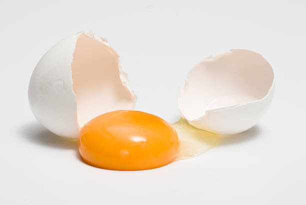 卵が良いと言われている理由は？～タンパク質ではありません～